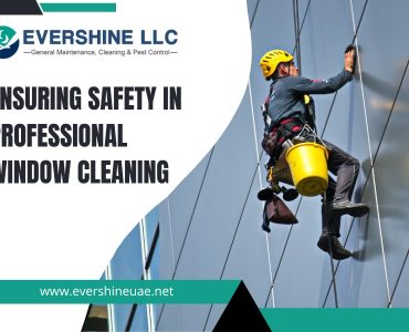Ensuring Safety in Professional Window Cleaning Services
