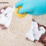 How Can Professional Shampooing And Disinfection Services Benefit Your Carpets?