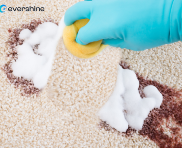 Carpet Cleaning and Shampooing