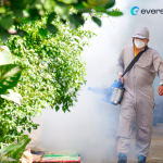 Top Tips for Dengue Prevention: Effective Cleaning and Pest Control Solutions