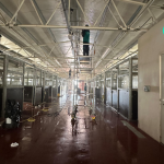 Cost vs. Value: Professional Stable Cleaning Services Explained