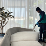 Benefits of Deep Sofa Cleaning Before and After Summer Travel